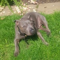 Mr law 𓅪 (@law120565) 's Twitter Profile Photo