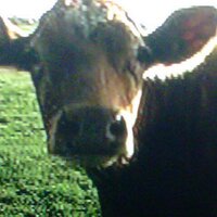 David Bunting (@dave_bunting) 's Twitter Profile