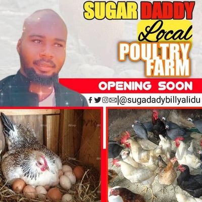 My name is sugadadybilly@gmail.com
My business name is local poultry farming