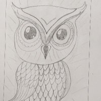 Frank P. Long Intermediate School (@rucinski_ulberg) 's Twitter Profile Photo Frank P. Long Intermediate School (@rucinski_ulberg) 's Twitter Profile Photo