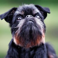 Eric McQuade (@mcquadeeric) 's Twitter Profile