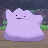 Ditto (@0x_ditto) 's Twitter Profile