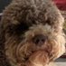 Alex (@adoggzz) Twitter profile photo Alex (@adoggzz) Twitter profile photo