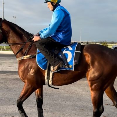 Mike Callinan Profile