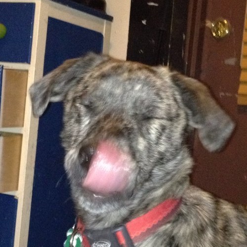 chk5313's profile picture. Born and raised just outside of Boston MA Michigan State University 2014, Urban Planner, Father