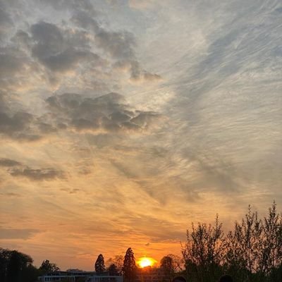 lenny_lohr's profile picture. 👽
21
Social Worker
✝️