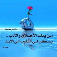 حامل الورد (@wajeehmhd6) 's Twitter Profile Photo