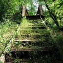 Daisy - @daisy_wallace - Twitter