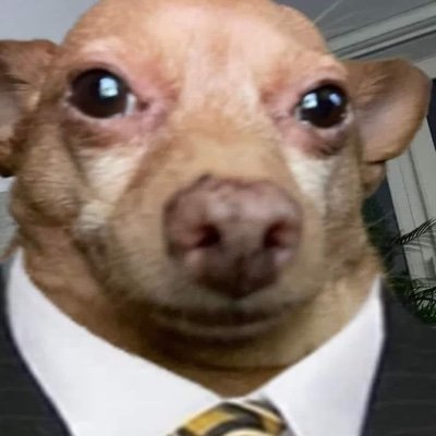 saleen_93's profile picture. 