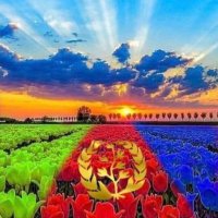 A K (@ak25506785) 's Twitter Profile Photo A K (@ak25506785) 's Twitter Profile Photo