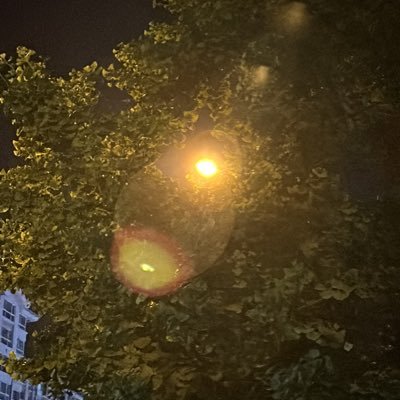 TYTboyfriend's profile picture. 