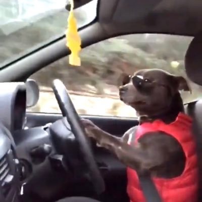 vettenn's profile picture. @ManUtd