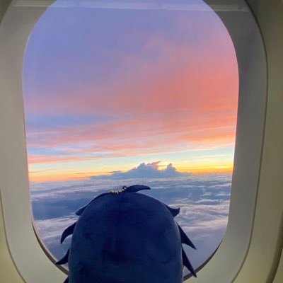 futon_komori's profile picture. 20↑ すてきなイラストをいいねするためのアカウントです たまにぬい撮り