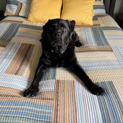 theDALYshow89's profile picture. ⚡️⚽️⚡️