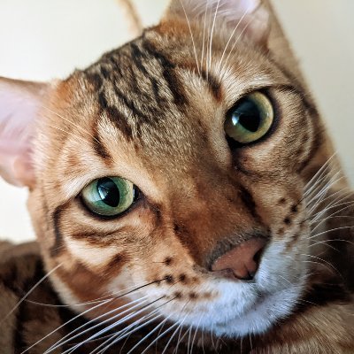 Mark319's profile picture. 