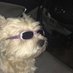 abbie wilkins (@abbiewi77731998) Twitter profile photo abbie wilkins (@abbiewi77731998) Twitter profile photo
