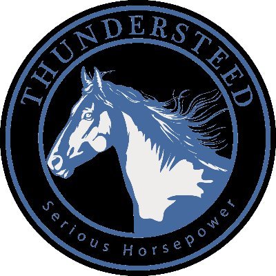ThunderSteedLLC's profile picture. Design and Development based in Richmond VA.  Serious Horse Power.