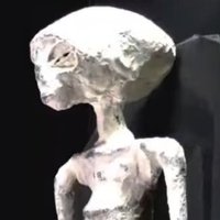 Alien Mummies, Nazca Desert, Peru(@alienmummy2017) 's Twitter Profile Photo