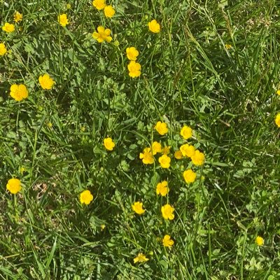 malimissy's profile picture. 