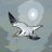 Atradeejs's profile image