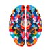 CNS-LYMPHATICS (@cns_lymph) Twitter profile photo CNS-LYMPHATICS (@cns_lymph) Twitter profile photo