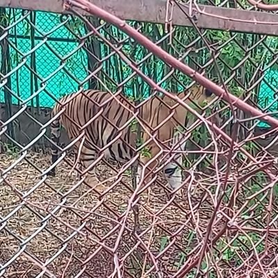 hiturocks813's profile picture. busy