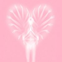 jc (@alt3r__3go) 's Twitter Profile
