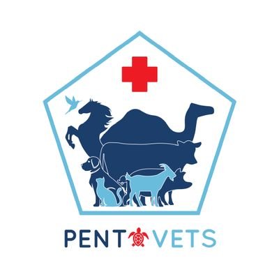 Pent Vet Surgeons