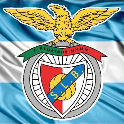 Hincha argentino del mas grande de Portugal. || 38 Ligas y 2 Champions 🏆. || Hincha de River Plate ⚪🔴⚪.