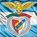 Benfica Argentina 🇦🇷 (@BenficaArgento) Twitter profile photo
