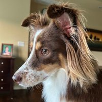 Spiderbird2018 (@robert_skrobe) 's Twitter Profile Photo