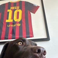 Dean (@sowty26) 's Twitter Profile