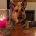 Evie (RIP) and Mike the GSD (@blueclaire1969) Twitter profile photo Evie (RIP) and Mike the GSD (@blueclaire1969) Twitter profile photo