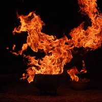 Phoenix-sans-serif (@phoenix_serif) 's Twitter Profile Photo Phoenix-sans-serif (@phoenix_serif) 's Twitter Profile Photo