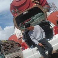 အောင်မျိုး နိုင် (@mrtqadptfc83007) 's Twitter Profile