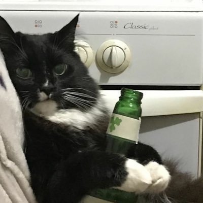 mxx10__'s profile picture. TENLEE 💜 and MARKLEE 🩵