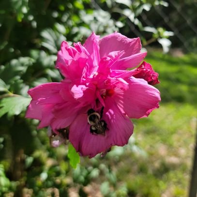 Transplant survivor, Daughter of God, Nature lover