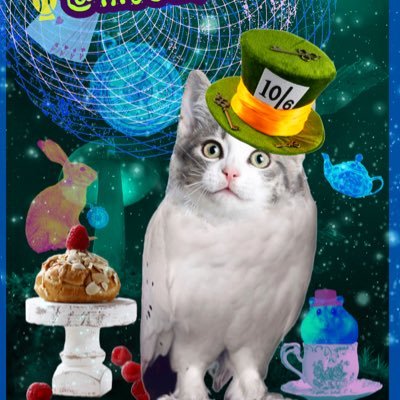 #MeowlMadness Thursdays 9pm ET (6pm PT) Twitter’s number one meowl-themed hashtag game. Hosted by @Nora_McManus