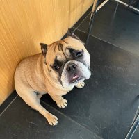 Tom (@tomx65) 's Twitter Profile