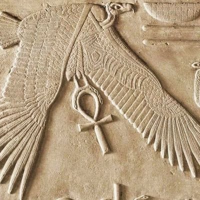 h888l9's profile picture. من بتوع (( كيميت ))