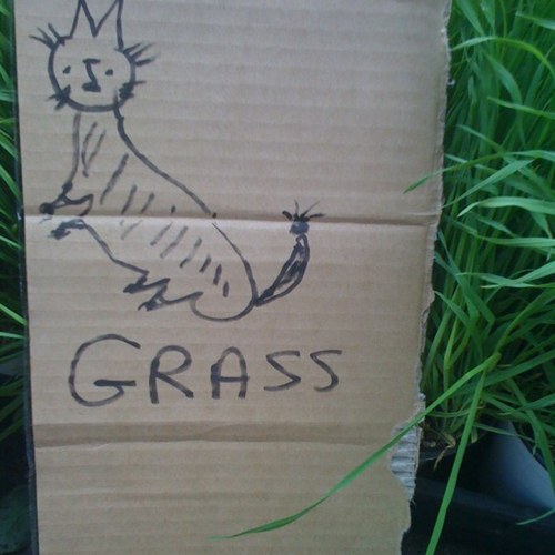 Wipeitoutoz's profile picture. the toilet paper revolution begins- change the world with the 57 sheets of toilet paper you use today