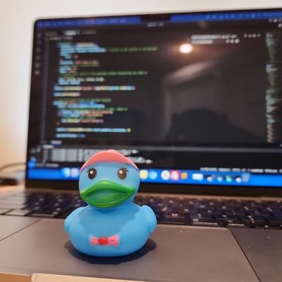 developerduck_'s profile picture. Fixing bugs since 2023