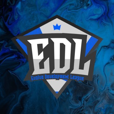 VALORANT Tournament Organizer for Low-Elo teams to help develop and transition to higher play.