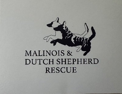 Malinois and Dutch Shepherd Rescue, Inc. (MAD) is a 501(c)3 non-profit organization which is dedicated to rescuing Belgian Malinois and Dutch Shepherds.