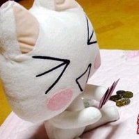 졸질 (@ojjeom13599) 's Twitter Profile