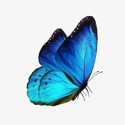 JohannaVar61021's profile picture. 