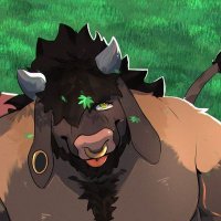 Chai (@bisontote) 's Twitter Profile Photo