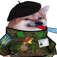 Grafton Fella (@nilsnil38746300) 's Twitter Profile Photo Grafton Fella (@nilsnil38746300) 's Twitter Profile Photo