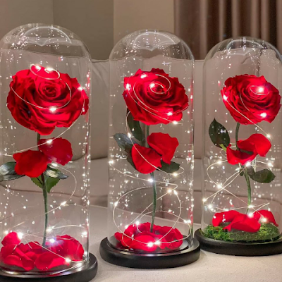 SeremetSe6028's profile picture. 