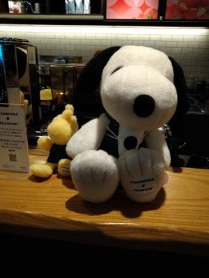 tint_az18946's profile picture. 